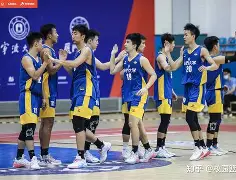 爱游戏体育-淘汰赛巅峰对决！闽南火狐队小胜皖南青龙队，板球赛场再起波澜；观赏性拉满(第二组战队第二场对决)